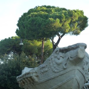 Fontana della Navicella