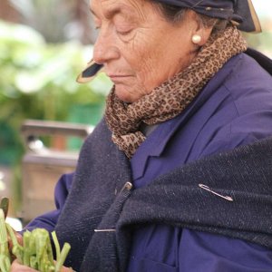 Marktfrau Campo de Fiori