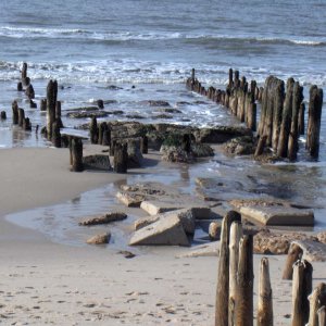 Sylt_M_rz_2008_098