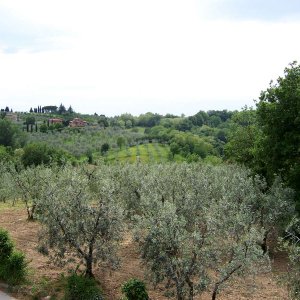 Montepulciano - Madonna di San Biagio