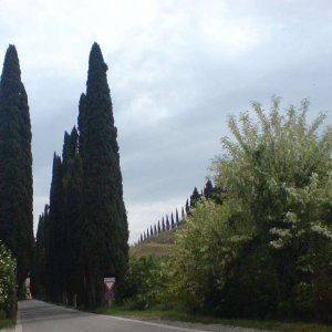 Montepulciano - Madonna di San Biagio