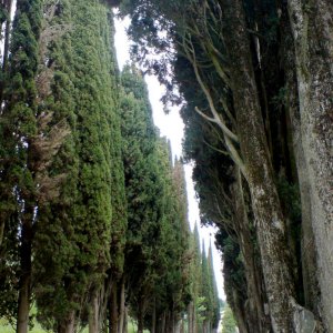 Montepulciano - Madonna di San Biagio