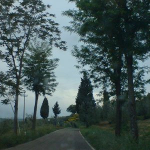 Toskanische Landschaft bei Pienza