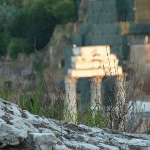 Forum Romanum