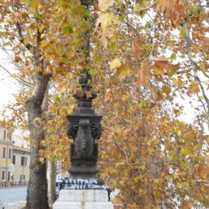 Radtour am Tiber