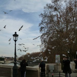 Radtour am Tiber