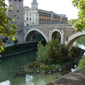 Blick zur Tiberinsel