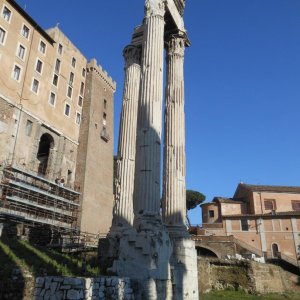 Forum Romanum