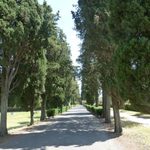 Via Appia Antica, Callisto-Katakomben