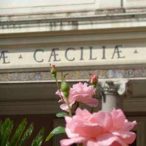 Santa Cecilia