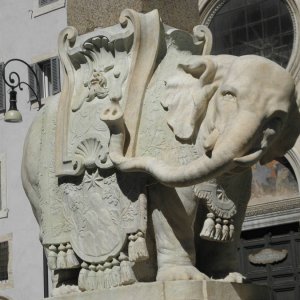 Elefant vor Santa Maria Sopra Minerva