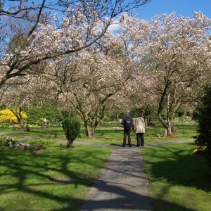 Frhling auf dem Friedhof