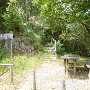 Monte Circeo