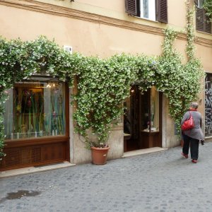 Bltenpracht in Trastevere