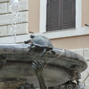 Fontana delle tartarughe