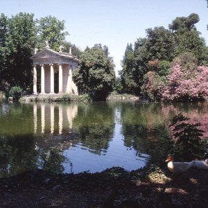 See Villa Borghese