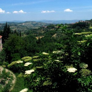 Blick von Peruggia in die umbrische Landschaft