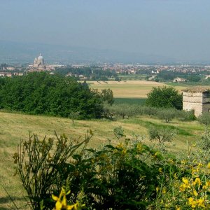 Assisi Blick auf San Damiano