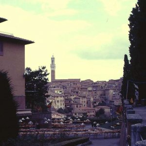 Siena Blick auf die Stadt