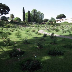 Rosengarten auf dem Aventin