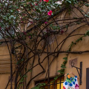 Gasse hinter Campo dei Fiori