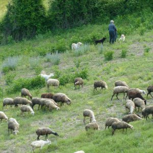 Natur in Umbrien