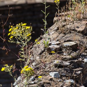 Natur in Umbrien