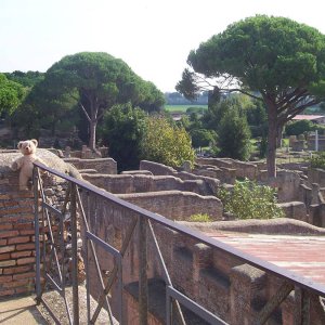 Grosser Br in Ostia antica