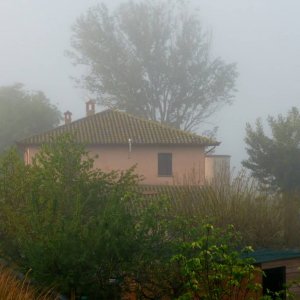 Die Vale umbra im Nebel