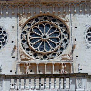 Spoleto - Fensterrosen