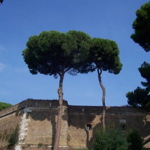 Passeggio Gennaro und Lmmchen, Gianicolo