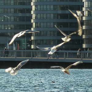 Duisburg Innenhafen