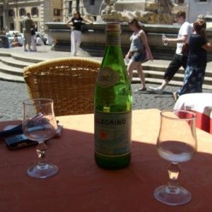 Wasserflasche_Piazza_Navona