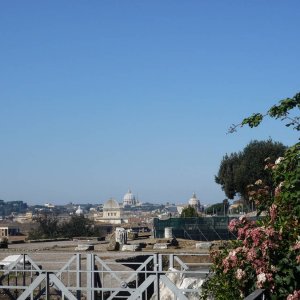 Forum Romanum und Palatino