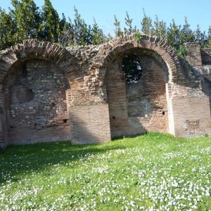 Forum Romanum und Palatino