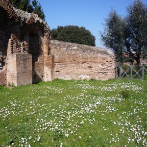Forum Romanum und Palatino