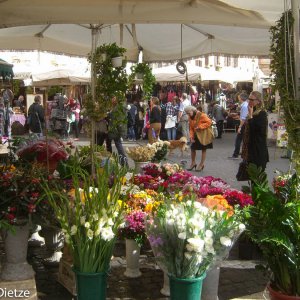 Blumen - tglich frisch am Campo Fiori