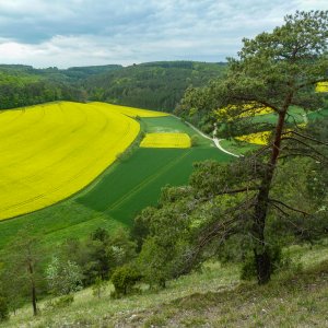 Haigergrund Mai3 2014