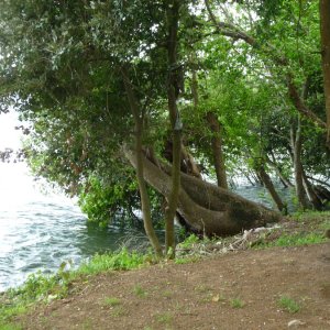 Lago di Bracciano