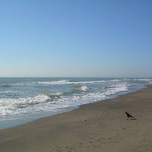 Am Meer in C. Colombo