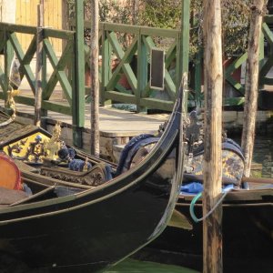 Auf dem Canal Grande