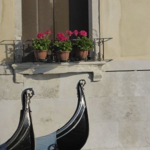 Auf dem Canal Grande