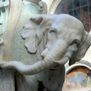 Elefant von Bernini vor Santa Maria Sopra Minerva