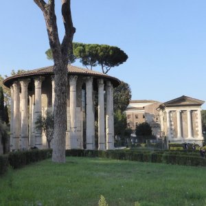 Forum Boarium