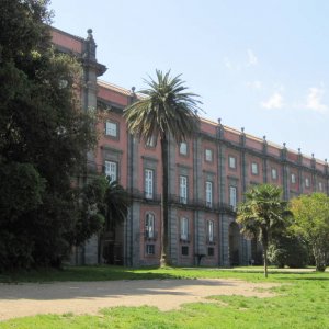 Capodimonte