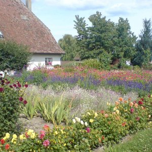 Insel Reichenau