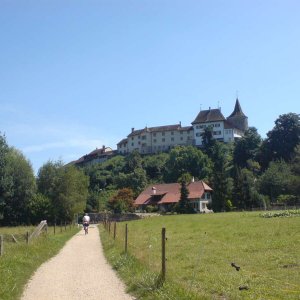 Bielersee