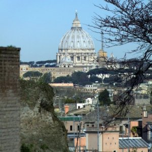 Palatin - Blick auf St. Peter