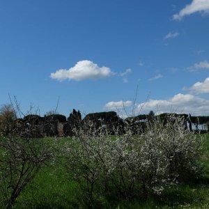 Villa dei Quintili