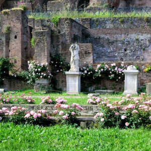 Forum Romanum